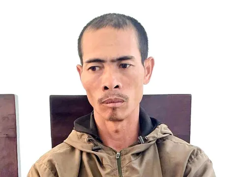 Chặt phá vườn cà phê của em vợ, anh rể nhận 2 năm 9 tháng tù