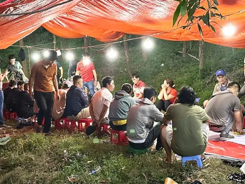 Triệt phá 'ổ' xóc đĩa giữa rừng keo, có cả xe ôm chở con bạc vào sát phạt