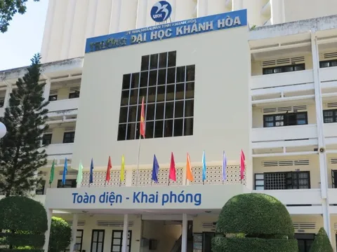 Xài chứng chỉ tiếng Anh giả, nữ sinh viên sư phạm bị buộc thôi học