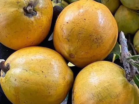 Trái lêkima - 'liều thuốc' tự nhiên rất tốt cho tim