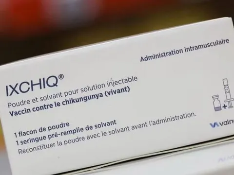 Mỹ bất ngờ đình chỉ lưu hành vắc xin phòng Chikungunya