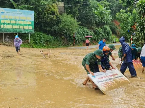 Sạt lở hàng trăm mét khối đất đá từ đồi xuống đe dọa trường học