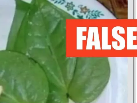 Chuyên gia bác tin tỏi và lá trầu không có thể chữa tiểu đường và cao huyết áp