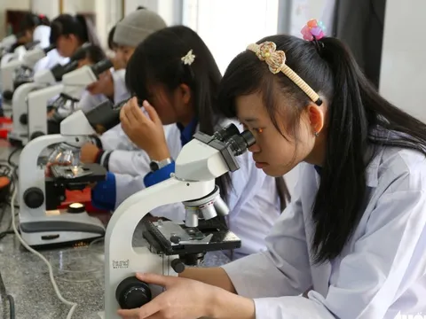 Điểm chuẩn sư phạm Trường đại học Đà Lạt cao nhưng hầu như xét tuyển bằng học bạ