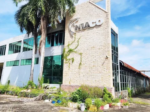 Trúng đấu giá tài sản 'chưa sạch', doanh nghiệp điêu đứng 3 năm