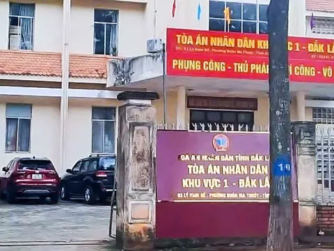 Vì sao cựu phó chánh án TAND khu vực 1 Đắk Lắk bị tạm giữ?