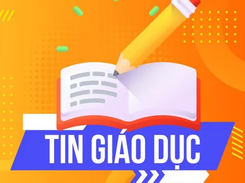 Một trường tiểu học quốc tế ở Hà Nội tuyển sinh 'chui' hơn 50 học sinh lớp 1