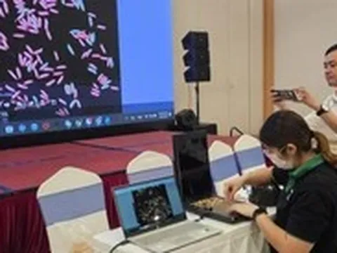 Dùng AI phân tích hình ảnh hạt lúa xác định được độ thuần của giống lúa