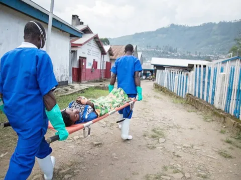 Dịch tả có khả năng xâm nhập Việt Nam không?