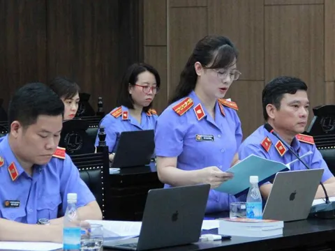 Viện kiểm sát nói chủ tịch Tập đoàn Thuận An đã 'giẫm đạp lên các quy định pháp luật'