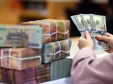 Trái phiếu tháng 8/2025: 37 đợt phát hành riêng lẻ, 4 mã chậm trả lãi gốc trị giá 313 tỷ đồng