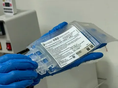 Bộ Y tế yêu cầu rà soát liệu pháp CAR-T cell điều trị bệnh ác tính về máu