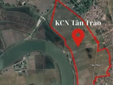 Giao hơn 30ha đất lúa đã chuyển đổi cho Vinhomes Hải Phòng