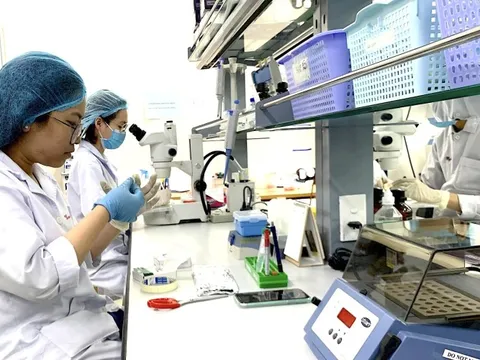 Các đại học Việt Nam dẫn đầu công bố quốc tế: Trường nào tăng mạnh nhất nửa đầu 2025?