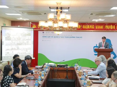 Triển khai hướng dẫn quốc gia về sàng lọc và quản lý đái tháo đường thai kỳ