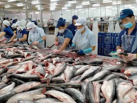 Nâng quy mô gói tín dụng nông, lâm, thủy sản lên 185.000 tỷ đồng