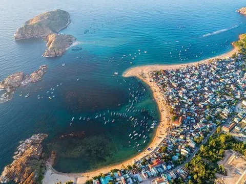 Việt Nam ngồi trên "kho báu" khổng lồ: Mỗi năm có thể thu về 1,9 tỷ USD từ thị trường toàn cầu