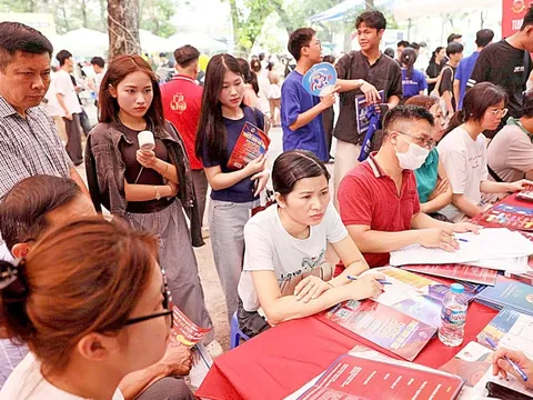 Cơ hội lớn từ sắp xếp đại học