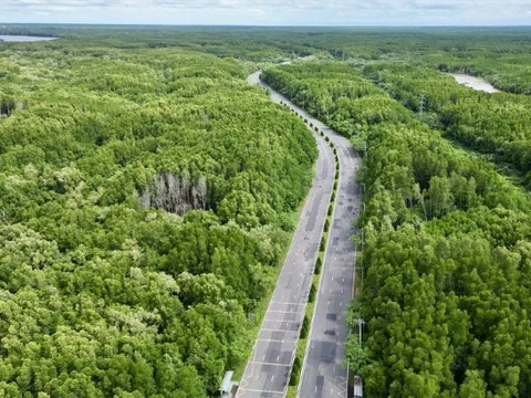 3 năm nữa từ TP.HCM đi Cần Giờ chỉ mất 15 phút, nhanh hơn ra sân bay, không bao giờ lo tắc đường