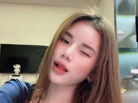 Vì sao hotgirl Lê Phạm Hiểu Ly bị truy nã?