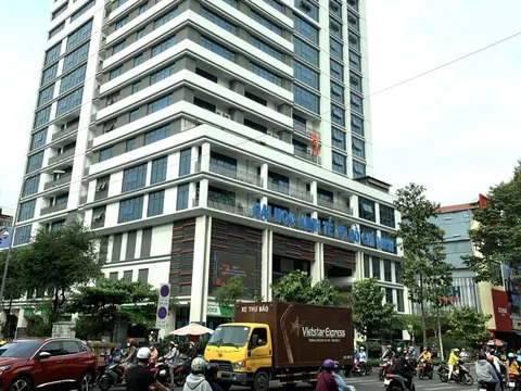 Đại học Việt Nam nào có thứ hạng cao nhất trên bảng xếp hạng đại học thế giới?