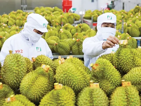 Vượt thiên tai, nông nghiệp Việt Nam tăng tốc về đích 70 tỷ USD