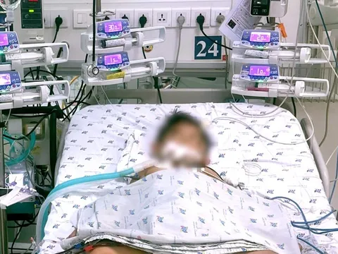 Trẻ ở Gia Lai đã vượt qua nguy kịch sau tổn thương đa cơ quan do ong vò vẽ đốt