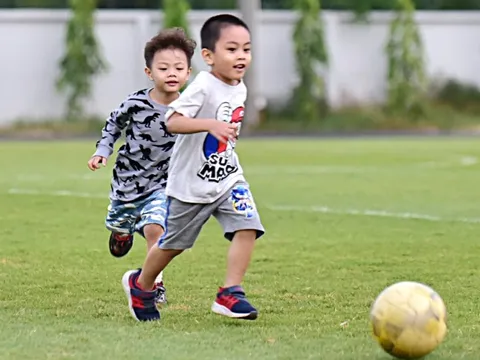 Chuẩn dinh dưỡng học đường để thế hệ trẻ Việt Nam khỏe mạnh