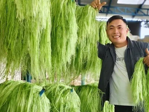 Gỡ bỏ sợi dây níu chân start-up Việt