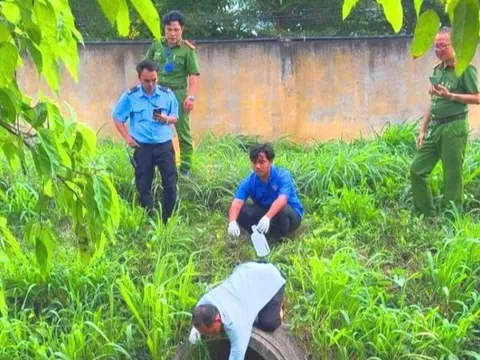 Vi phạm xả nước thải ra môi trường, một công ty ở Vĩnh Long bị xử phạt 345 triệu đồng