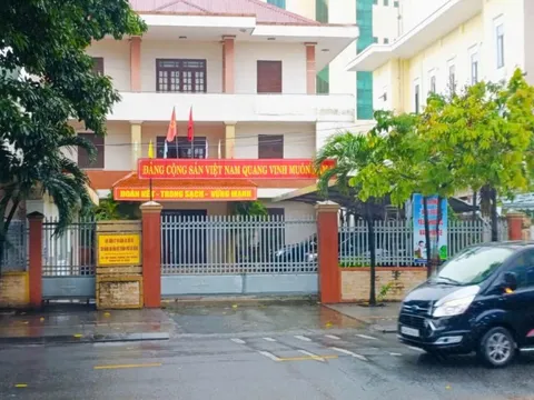 Nữ giám đốc 2 công ty trốn thuế 37 tỉ đồng: Tòa cho bán đấu giá 9 xe khách