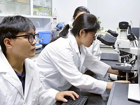 Bộ GD-ĐT đề xuất thêm vị trí 'giảng viên đồng cơ hữu' trong luật đại học sửa đổi