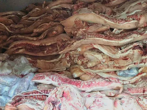 Bắt chủ cơ sở giết mổ trữ đông 40 tấn thịt heo chết, nhiễm bệnh để bán ra thị trường