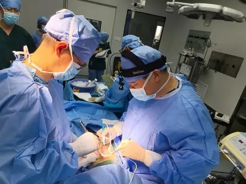 Trung Quốc ghép gan heo cho bệnh nhân ung thư, mở ra bước ngoặt ghép tạng