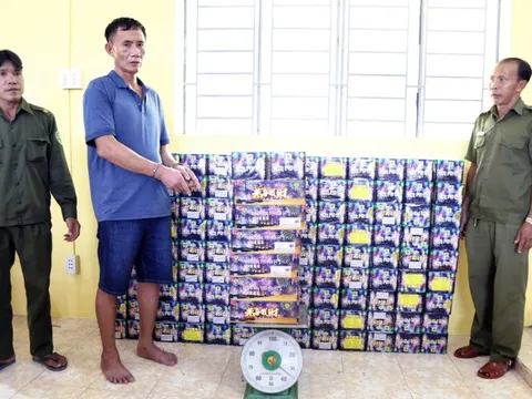 Bắt người đàn ông buôn bán 339kg pháo hoa nổ, tàng trữ ma túy trái phép