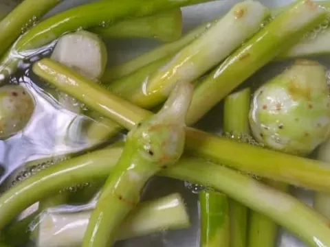 Canh ngó môn, món canh trong miền ký ức