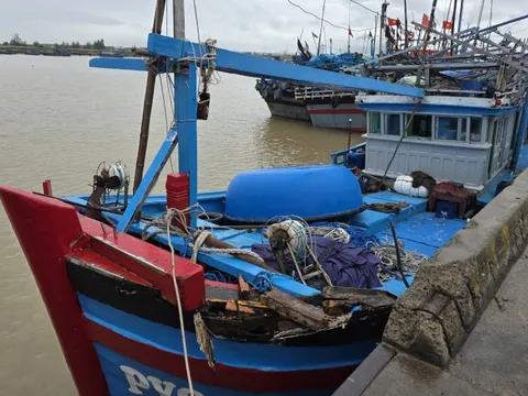 Xác minh tàu cá Đắk Lắk tố bị 3 tàu cá khác tấn công, lấy tài sản