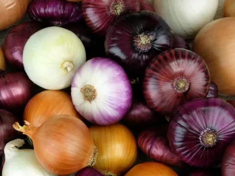 Cha mẹ không nên tin 'mẹo chữa bệnh bằng hành tây' lan truyền trên mạng