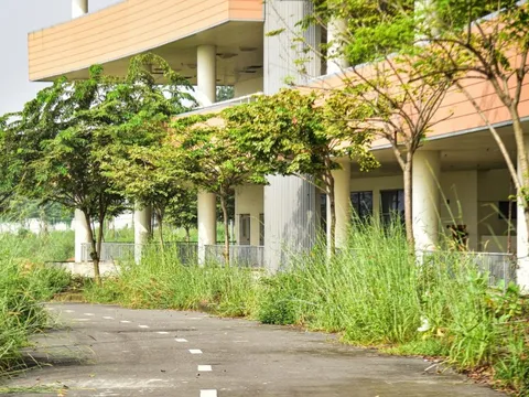 Hiện trạng bệnh viện 4.500 tỉ ở TP.HCM sau 10 năm khởi công: Thi công 'cho có', cỏ dại um tùm