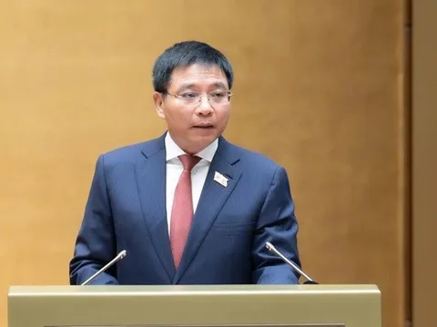 Hộ kinh doanh sẽ tự kê khai thuế theo hóa đơn, doanh thu thực tế