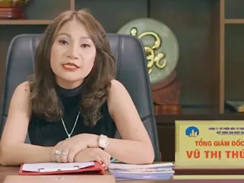 Vụ huy động hơn 9.100 tỉ: Truy tố nữ chủ tịch Công ty bất động sản Nhật Nam