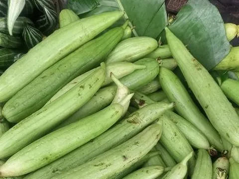 Liệu pháp tự nhiên phòng chữa chứng chảy máu mũi tại nhà