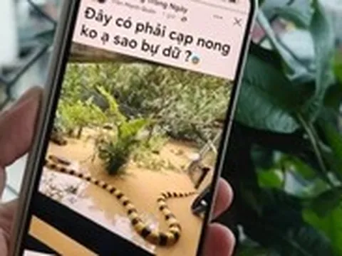 Từ hình ảnh, video đến ca khúc AI: Cẩn trọng 'cơn lốc' nội dung AI trên mạng xã hội