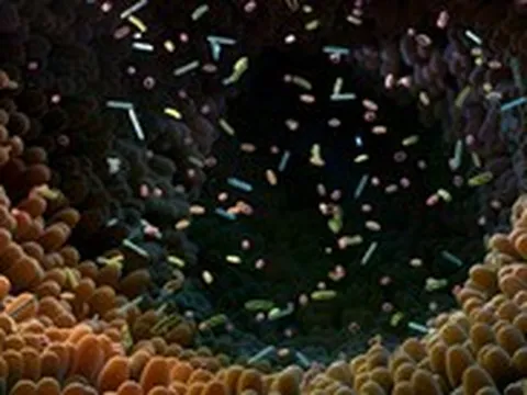 Nhà nghiên cứu Việt dùng AI 'giải mã' vi khuẩn đường ruột