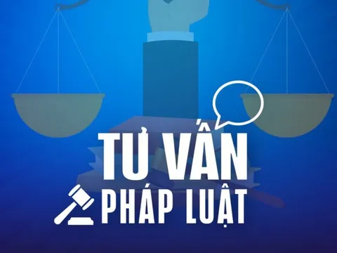 Chung sống như vợ chồng thì tài sản chia thế nào?