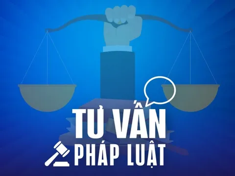 Làm giúp việc theo ca có buộc phải đóng thuế không?