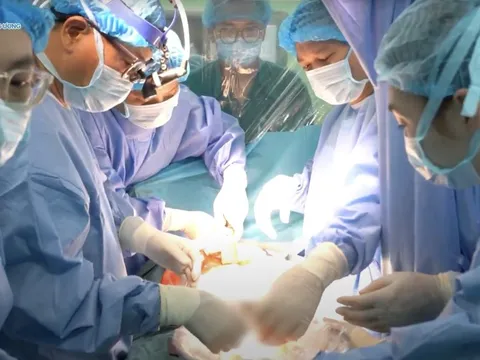 Vượt 2.000km, lá gan hiến tặng từ Cần Thơ hồi sinh bé gái 3 tuổi ở Hà Nội