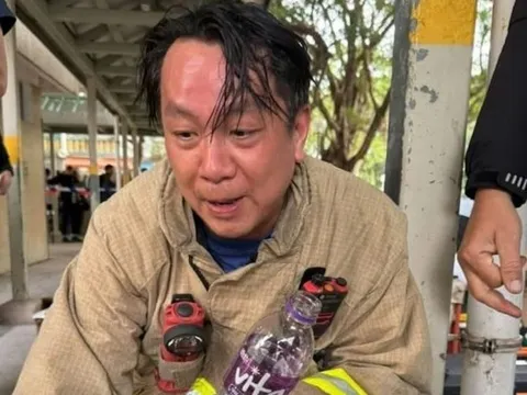 Lính cứu hỏa cứu chó mèo vụ cháy chung cư ở Hong Kong: Cảm ơn vì không bỏ rơi những sinh mạng nhỏ bé