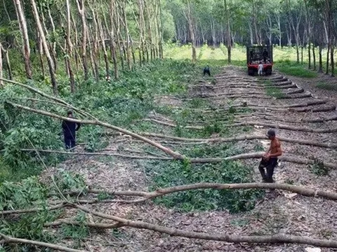 Đồng Nai: Phê bình UBND xã Đồng Tâm, Tân Lợi, Nghĩa Trung