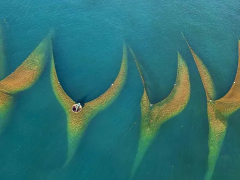 Nhiếp ảnh Việt Nam nhìn qua thấy đẹp nhưng mãi ở lối mòn